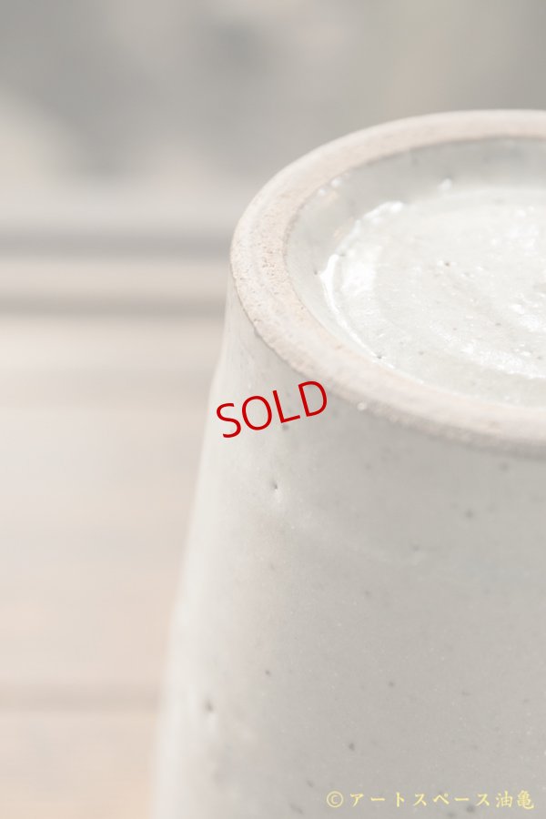 画像6: 寺村光輔　泥並釉　ブーケポット