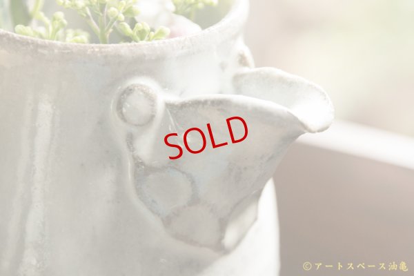 画像3: 寺村光輔　藁灰釉　ピッチャー（ 薪 )