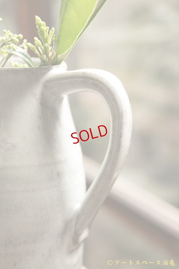 画像9: 寺村光輔　藁灰釉　ピッチャー（ 薪 )