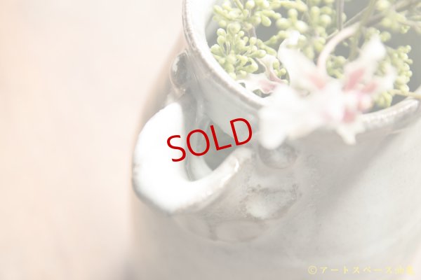 画像5: 寺村光輔　藁灰釉　ピッチャー（ 薪 )