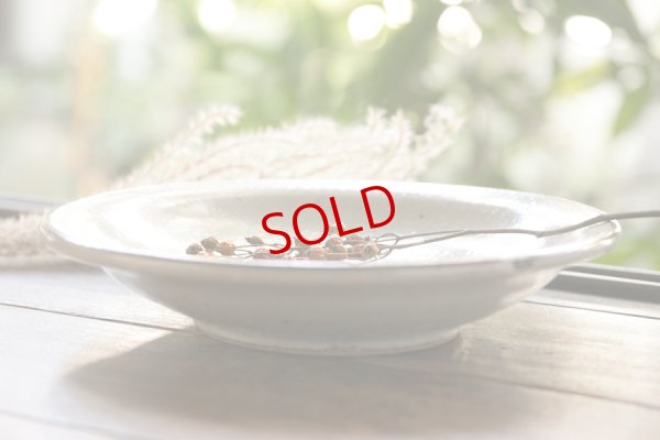 画像4: 寺村光輔　泥並釉　６．５寸深皿