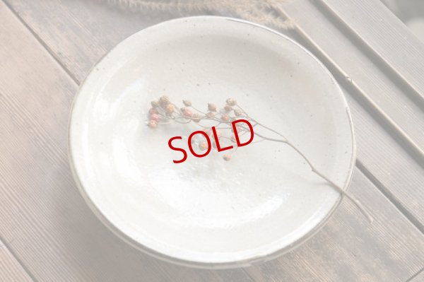 画像2: 寺村光輔　泥並釉　６．５寸深皿