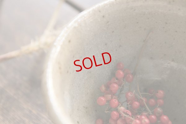 画像5: 寺村光輔　並白釉　片口（薪）