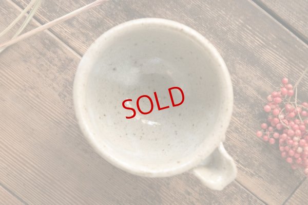 画像4: 寺村光輔　並白釉　片口（薪）