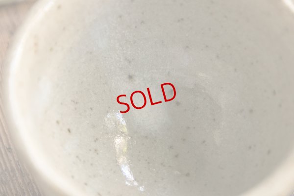 画像7: 寺村光輔　並白釉　片口（薪）