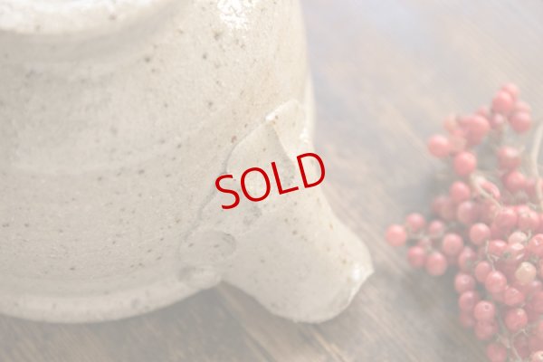 画像9: 寺村光輔　並白釉　片口（薪）