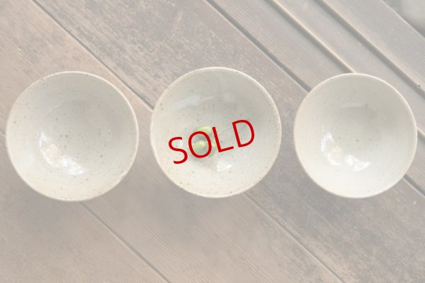 画像6: 寺村光輔　並白釉　呉須鉄絵　飯碗（薪）