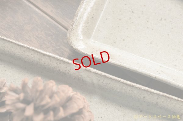 画像7: 寺村光輔　長石釉　長皿【アソート作品】