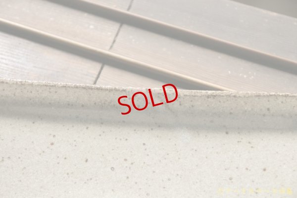 画像6: 寺村光輔　長石釉　長皿【アソート作品】