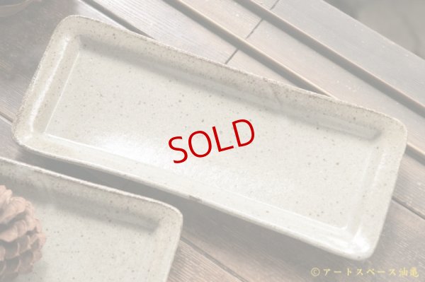 画像5: 寺村光輔　長石釉　長皿【アソート作品】