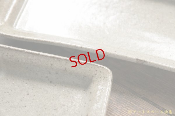 画像8: 寺村光輔　長石釉　長皿【アソート作品】