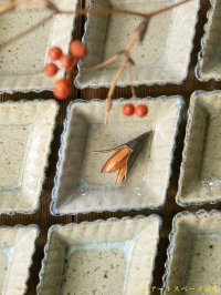 寺村光輔　並白釉　呉須　菱形小鉢（薪）【アソート作品】