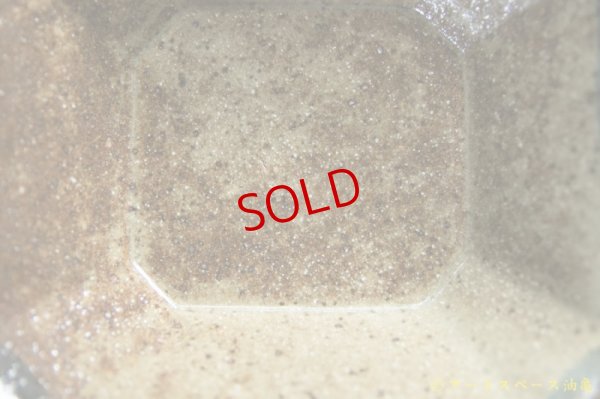 画像5: 寺村光輔　ぶどう灰釉　マスカットオブアレキサンドリア　呉須鉄絵　隅切角鉢（薪）