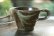 画像1: 寺村光輔　ぶどう灰釉　マスカットオブアレキサンドリア　コーヒーカップ（薪） (1)