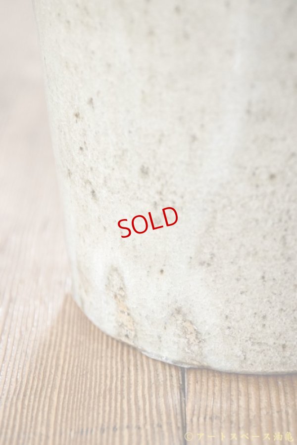 画像12: 寺村光輔　並白釉　呉須　壺（薪）