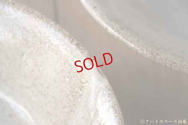 画像6: 寺村光輔　長石釉　６.５寸浅鉢（薪）【アソート作品】