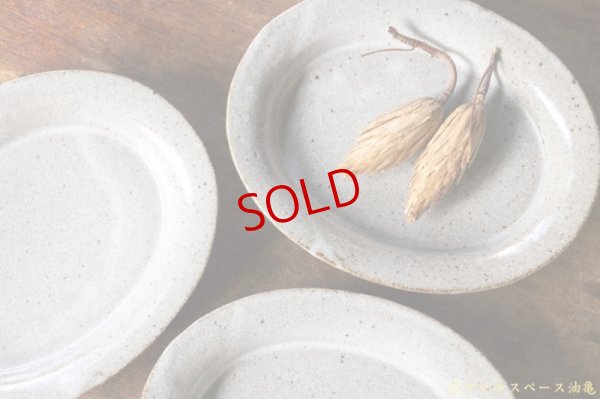 画像4: 寺村光輔　長石釉　楕円深皿【アソート作品】