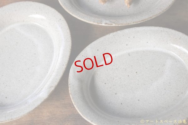 画像5: 寺村光輔　長石釉　楕円深皿【アソート作品】