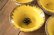 画像1: 鳥居あい　黄色い星　デザート皿Ｌ【アソート作品】 (1)