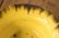 画像7: 鳥居あい　黄色い星　デザート皿Ｌ【アソート作品】 (7)