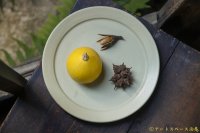 塚本友太　22.5cmリム皿　緑【アソート作品】