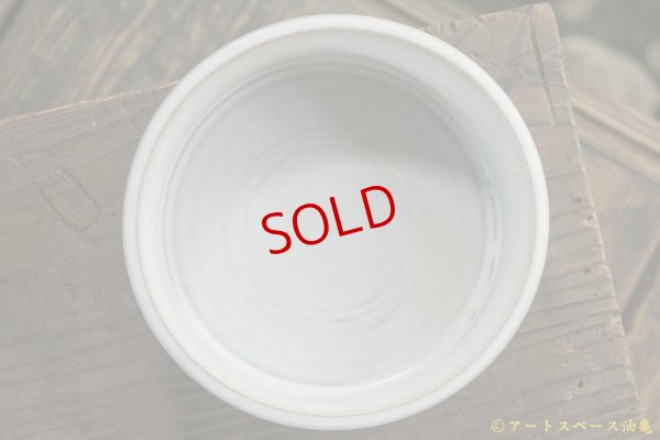 画像7: 内山太朗　鉢　タイサンボク【アートスペース油亀オリジナル】