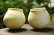 画像1: 馬川祐輔　丸カップ (1)