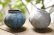 画像3: 馬川祐輔　丸カップ