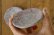 画像3: 馬川祐輔　豆皿 (3)