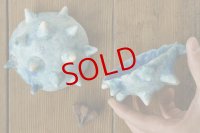 梅澤 真那　豆皿