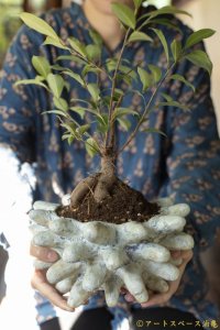 梅澤 真那　オブジェ植木鉢　中