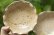 画像1: 八木橋昇　ブドウ灰釉２２９　マスカットオブアレキサンドリア　白土輪花４寸小皿（ブドウ灰１００％） (1)