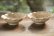 画像2: 八木橋昇　ブドウ灰釉２２９　マスカットオブアレキサンドリア　白土輪花４寸小皿（ブドウ灰１００％）