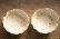画像4: 八木橋昇　ブドウ灰釉２２９　マスカットオブアレキサンドリア　白土輪花４寸小皿（ブドウ灰１００％）