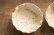 画像6: 八木橋昇　ブドウ灰釉２２９　マスカットオブアレキサンドリア　白土輪花４寸小皿（ブドウ灰１００％）
