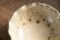 画像9: 八木橋昇　ブドウ灰釉２２９　マスカットオブアレキサンドリア　白土輪花４寸小皿（ブドウ灰１００％）