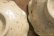画像12: 八木橋昇　ブドウ灰釉２２９　マスカットオブアレキサンドリア　白土輪花４寸小皿（ブドウ灰１００％）