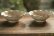 画像3: 八木橋昇　ブドウ灰釉２３０　マスカットオブアレキサンドリア　白土輪花４寸小皿
