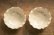 画像1: 八木橋昇　ブドウ灰釉２３０　マスカットオブアレキサンドリア　白土輪花４寸小皿 (1)