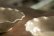 画像8: 八木橋昇　ブドウ灰釉２３０　マスカットオブアレキサンドリア　白土輪花４寸小皿