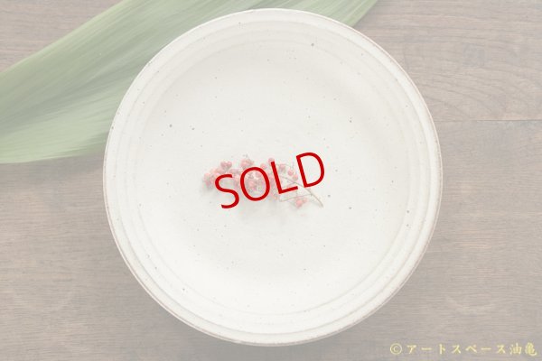 画像3: 山本泰三　野粉引８寸深皿　【アソート作品】