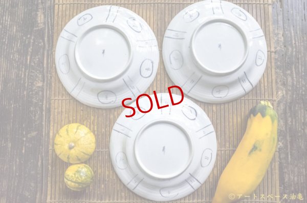 画像7: 柳川謙治　染付　芙蓉手七寸皿