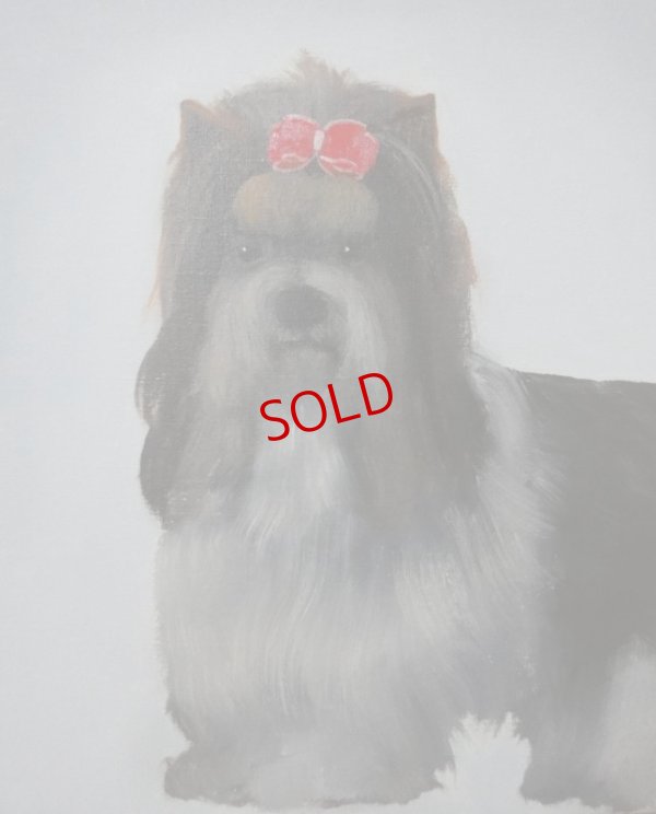 画像1: 吉行鮎子「beaver terrier」