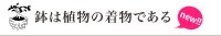 鉢は植物の着物である