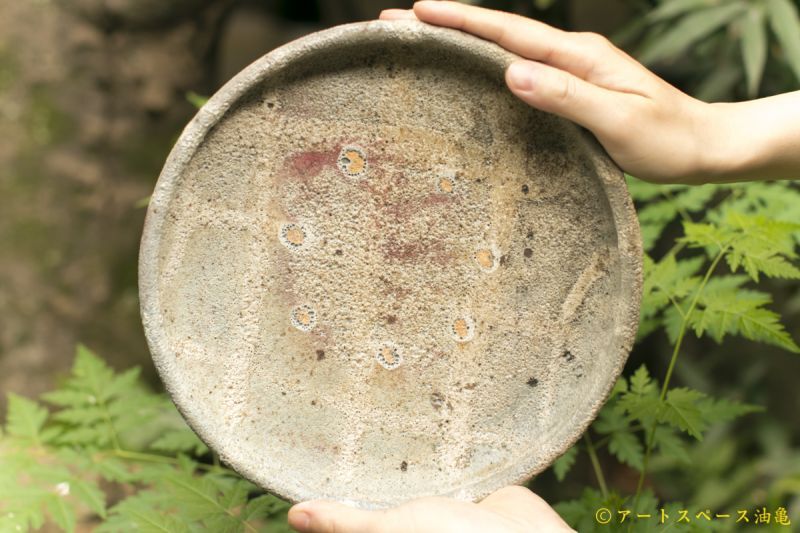 画像1: 加地学　白化粧透明釉銅釉7寸鉢