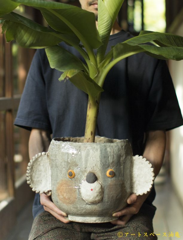 アートスペース油亀POP UP展「鉢は植物の着物である」