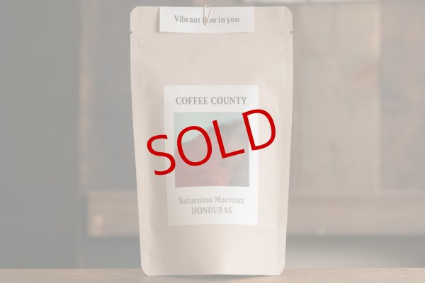 画像1: COFFEE COUNTY「HONDURAS Saturnino Martinez」珈琲豆100g【レターパック対応商品】 (1)