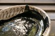 画像5: 増田光 白黒だえんカレー皿　クマ (5)