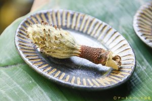 画像: 江口誠基　玄釉　しのぎオーバル豆皿【アソート作品】