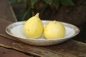 画像: 古谷浩一　渕荒横彫　楕円深皿（中）【アソート作品】